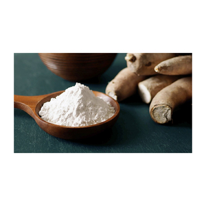 Harina de almidón de tapioca Premium disponible a granel ideal para fabricantes de alimentos y panaderías - Product Image 2