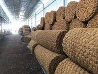 Fournisseur vietnamien Fibres de coco coco Paillis Anneau Arbre Protecteur Tapis Arbre Plante Anneau Tapis
