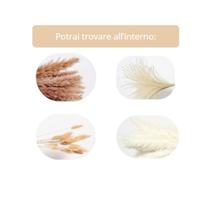 Ensemble de 50 herbes décoratives séchées naturelles, herbe de la pampa et fleurs séchées de style bohème pour la décoration de la maison et des vases de mariage - Product Image 2