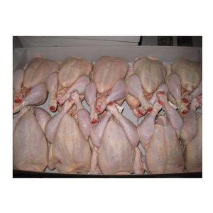 Cuartos de Pollo Halal Congelados Premium, Paquete a Granel, Grado de Exportación, Certificado Halal, Carne Rica en Proteínas Saludables, Suministro Fresco - Product Image 4