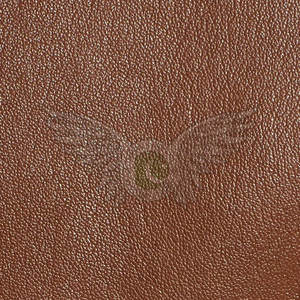 Veste en cuir de qualité supérieure Nouvelle dernière conception Logo personnalisé Imperméable PU Dames Vestes en cuir à la mode - Product Image 6