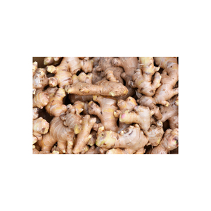 Gingembre bio pour soulager les nausées de grossesse - Product Image 3