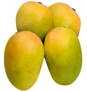 Mangue Ataulfo Alphonso Premium, conforme aux normes USDA, qualité d'exportation, fraîche, jaune, 12-16 cm, 3 kg, Brix élevé, texture beurrée sans fibres - Product Image 4