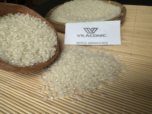 Arroz de sushi corto japonés de Vietnam de alto estándar-Textura suave 100% Natural puro-Para restaurantes e importadores-Precio bajo (Joice) - Product Image 2