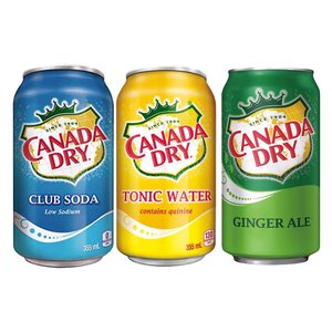 La mejor calidad Canada Dry Club Soda 355ml Suministro a granel Refrescos Precio al por mayor del proveedor de exportación directa de fábrica - Product Image 2