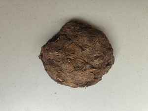 Exportadores de Estiércol de Vaca Orgánico en Polvo, Proveedores de Estiércol, Fertilizante de Estiércol de Vaca a Granel en Todo el Mundo - Product Image 2