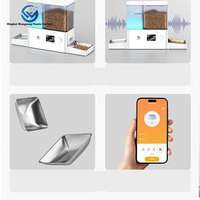 Usine nouveau Desgin Intelligent 2-en-1 intégré mangeoire à eau et à grains pour animaux de compagnie WiFi automatique tout-en-un distributeur de mangeoire pour chat chronométré