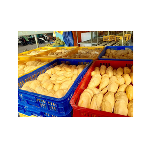 Entrega rápida Carne Durian congelada-100% Frutas frescas naturales Fruta entera o 1kg Durian Carne Paquete al vacío Ri6 o Mongthong Durian - Product Image 1