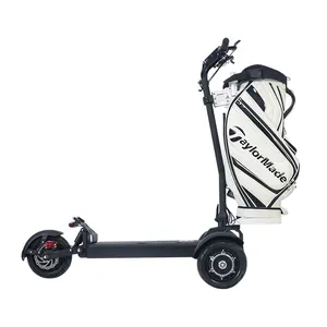 ESWING factory price 650W/1200W motor 3 wheel 10 inch fat tire foldable golf trolley electric