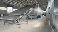 Secador Continuo de Malla para Frutas, Hierbas y Vegetales de Alta Capacidad, Precio de Fábrica Económico, Calidad Garantizada