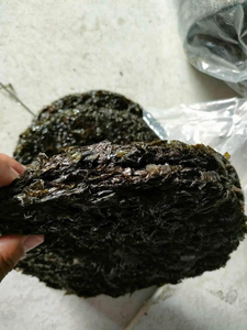 Feuilles d'algues Nori séchées en vrac, qualité export, légumes marins vietnamiens pour l'emballage alimentaire et la vente au détail - Product Image 3