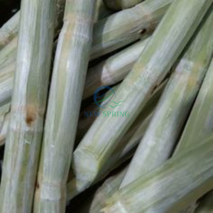 Caña de Azúcar Fresca Orgánica, Sin OMG y de Origen Agrícola Sostenible - Product Image 6