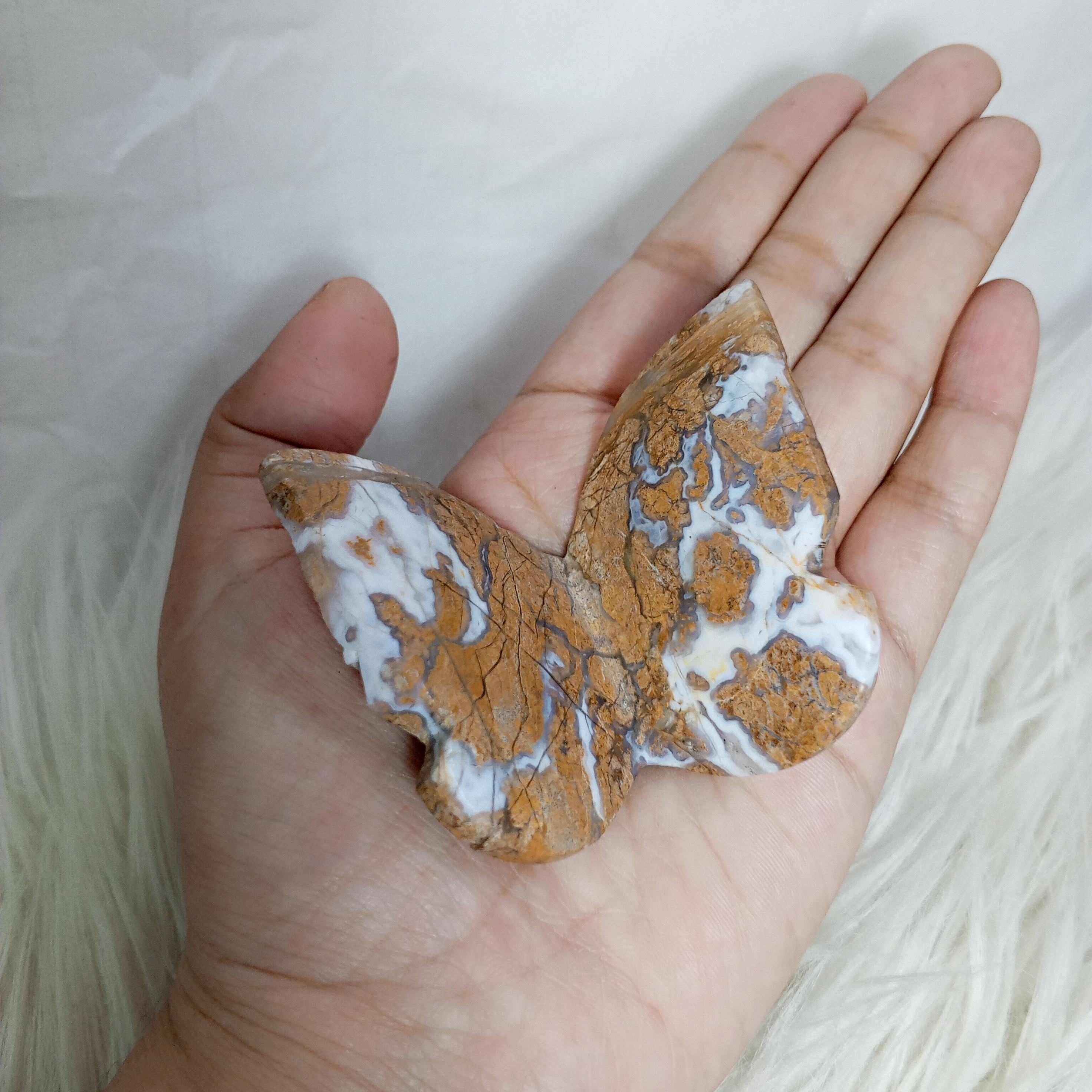 สีน้ำตาล