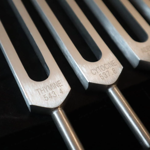 Ensemble de diapasons à nucléotides ADN Mars International pour la thérapie biofield - 4 pièces. - Product Image 3