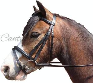 Brida Anatómica para Caballo Joya Modelo 009 de Cuero Genuino de Uttar Pradesh - Product Image 3