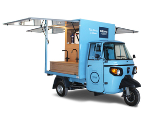 TVS KING DELUXE PLUS Triciclo Motorizado de Pasajeros de Alta Calidad con Motor de Gasolina Refrigerado por Agua, Carrocería Cerrada, Tipo Rickshaw Tuk Tuk 151-200cc 36V - Product Image 4