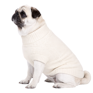 Pull en tricot pour chien, couleur vanille, doux et chaud, pull confortable pour animaux de compagnie, tricot d'hiver pour petits et moyens chiens, style classique neutre - Product Image 3