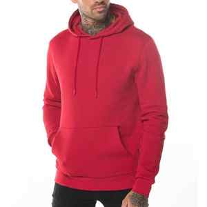 Sweat à capuche décontracté pour homme en coton, best-seller, vente en gros, vêtements d'été avec cordon épais, 100% coton tissé, col à capuche - Product Image 4