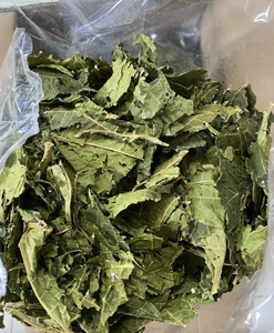 Proveedor mayorista de hojas de papaya secas de primera calidad en Vietnam - Product Image 2