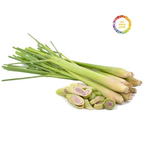 Hierba de limón congelada de origen vietnamita cuidadosamente seleccionada de fragancia natural y congelada por expertos para exportación en paquetes a granel - Product Image 1