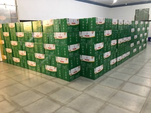 [Échantillon gratuit] noix de cajou séchées brutes de qualité supérieure, grains de noix de cajou fendus, fournisseur vietnamien - Product Image 2