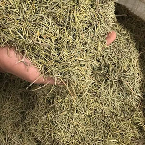 Romarin sec brut égyptien de qualité supérieure, herbe et épices uniques, ingrédients naturels - Product Image 1