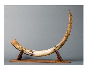 Best Quality Drinking Horn Mug Koi - Product Image 4