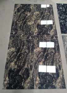 Digital a glacé l'hôtel luxueux dans les tuiles polies extérieures brillantes noires exclusives de porcelaine - Product Image 6