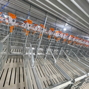 Jaulas para cerdos en gestación de acero inoxidable de Vietnam Fabricante Venta caliente jaulas para cerdos en gestación - Product Image 5