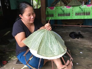 Elegancia ecológica: Sombrero de hoja de loto para una protección solar cómoda, natural y elegante - Product Image 3