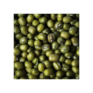Vigna Mung Beans precio barato suministro a granel al por mayor entrega rápida - Product Image 5
