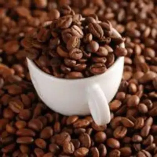 100% chicchi di caffè naturali crudi chicchi di caffè arabica robusta chicchi di caffè tostati con il miglior prezzo dal vietnam