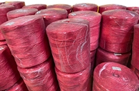 Usine indienne haute ténacité PP multifilament fil petit gros tomate ficelle presse fil filet de pêche ficelle polyester emballage