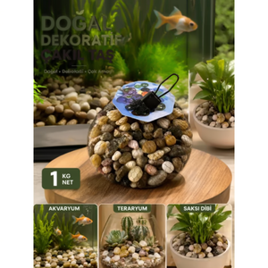 Galets décoratifs pour aquarium, pierres naturelles, pierres pour aquarium de poissons, couleur café - Product Image 3