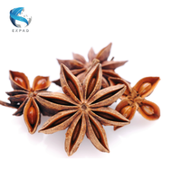 Vente en gros d'anis étoilé 100% d'anis naturel anis étoilé séché du Vietnam