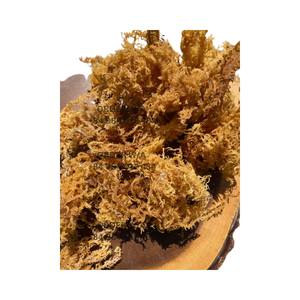 <b>Irish</b> Seamoss Jamaican <b>Sea</b> <b>Moss</b> Goldens <b>Sea</b> <b>Moss</b> High Quality for Export Wholesale Vietnam - Product Image 3