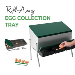 MG03-WS Nid de ponte pour 15 poules avec trois compartiments, pieds en métal et structure surélevée pour protéger les œufs des picots - Product Image 3