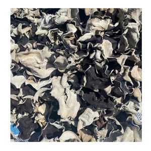 เห็ดมีเชื้อราดำแบบแห้งหูทำจากไม้แห้งสำหรับทำอาหารเอเชียและซุป - Product Image 1