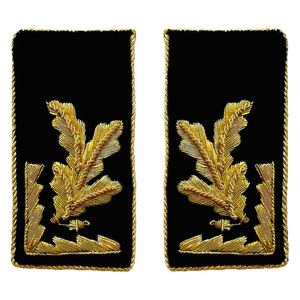 Offre Spéciale authentiques Badges brodés collier onglets paire pour uniformes élégant Vintage tissu écologique Ronpex - Product Image 1