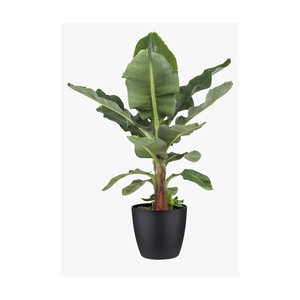 Maceta redonda de Metal dorado de Venta caliente, mesa de suelo interior, maceta de flores, planta de exhibición en maceta con soporte - Product Image 3