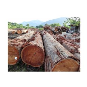 Meranti logs-เหมาะสำหรับบรรจุภัณฑ์และ crating - Product Image 2