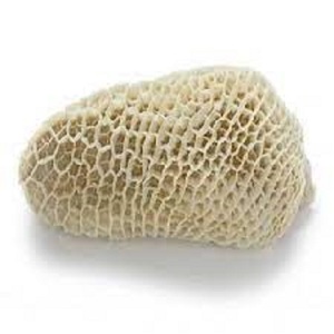 Precio al por mayor de ternera Omasum estómago empaquetado en cajas - Product Image 1