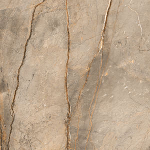 Carreaux de sol en porcelaine émaillée, design très populaire, fabrication en Inde pour salle de bain et maison. - Product Image 4