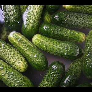 Dưa chuột ngâm bán buôn số lượng lớn hương vị tươi dưa chuột trong nước muối xuất khẩu - Product Image 1