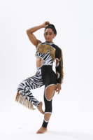 Uniformes de majorettes personnalisés à rayures zébrées noires, vêtements de performance sexy pour femmes, tenues de danse à franges, haute qualité, personnalisables, MASGAM