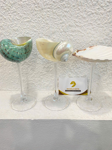 2025 nouveau fait à la main écologique Martini coquillage verre conque tasse à vin naturel plage fête de mariage décor de fête de mariage - Product Image 2