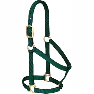 Nouveau 2025 Meilleure vente Personnaliser les licous de cheval Halter de haute qualité pour les chevaux - Product Image 5