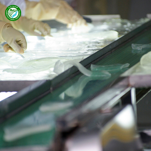 Gel de Aloe Vera Orgánico de Alta Calidad, Fresco y Congelado en Rodajas, 100% Aloe Vera Congelado - Product Image 1