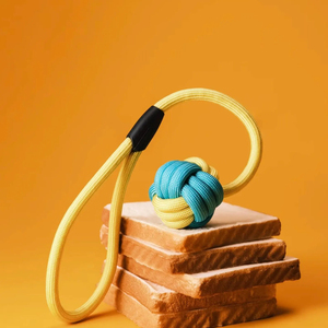 Thân Thiện Với Môi Squeaky Phim Hoạt Hình Con Chó Dây Đồ Chơi Cho Tích Chấn Cwer Con Chó Kích Thước Trung Bình Bông Miếng Bọt Biển Dễ Thương Thiết Kế Bền Cho Vật Nuôi - Product Image 6