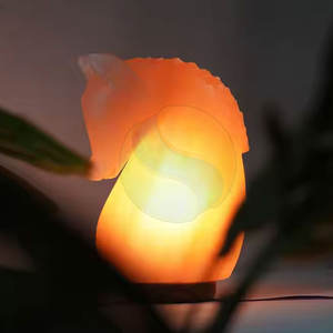 Pakistán hizo Himalaya hecho a mano de alta calidad forma de caballo lámpara de sal decoración del hogar - Product Image 2